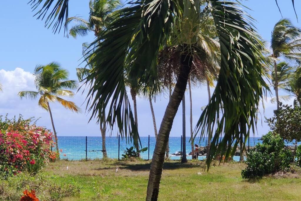 Parfum Des Iles - Vue Mer, Plage A 30M Et Piscine En Option Le Gosier  Eksteriør bilde